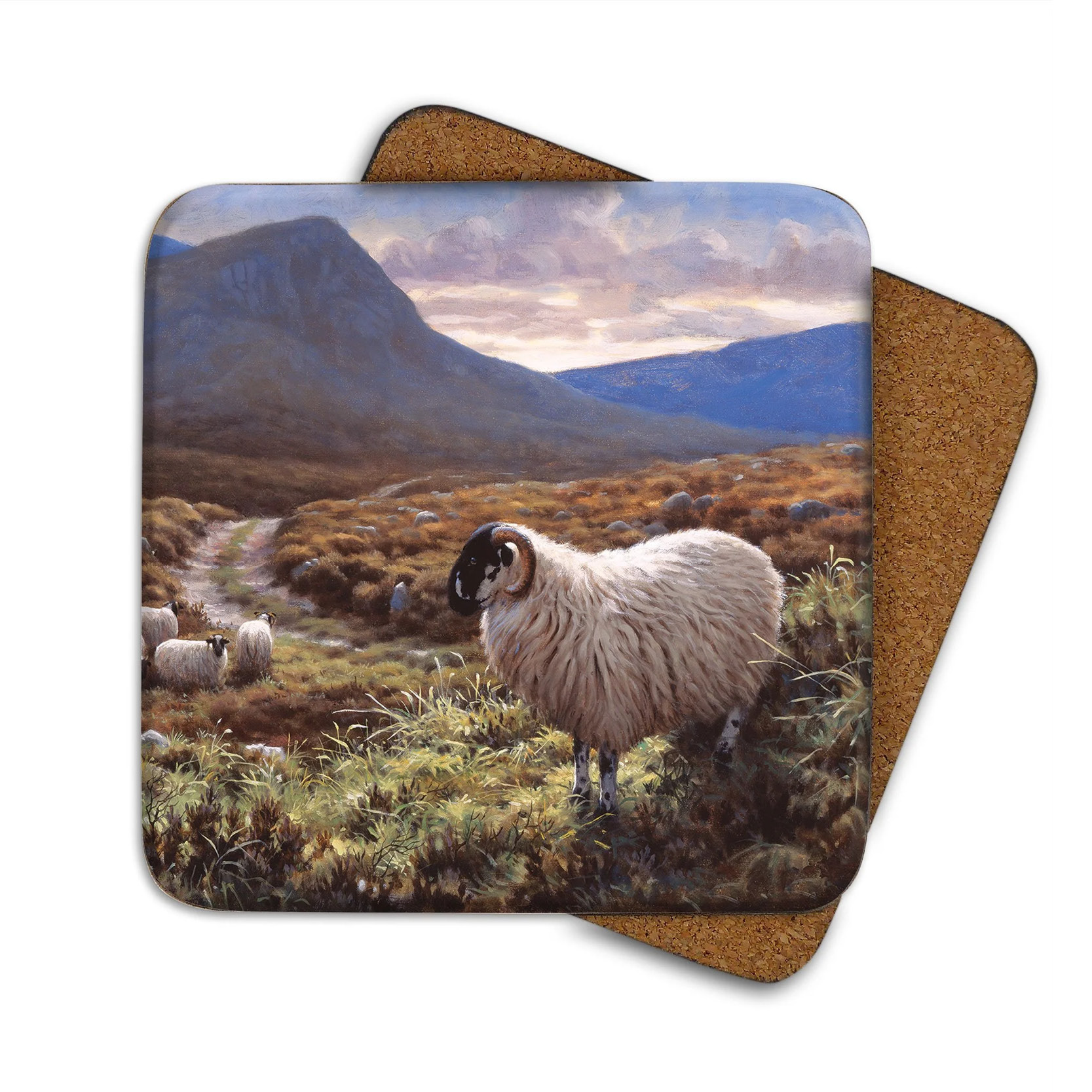 Julian Friers Scottish Blackface Sheep Coaster - Island Blue Gallery